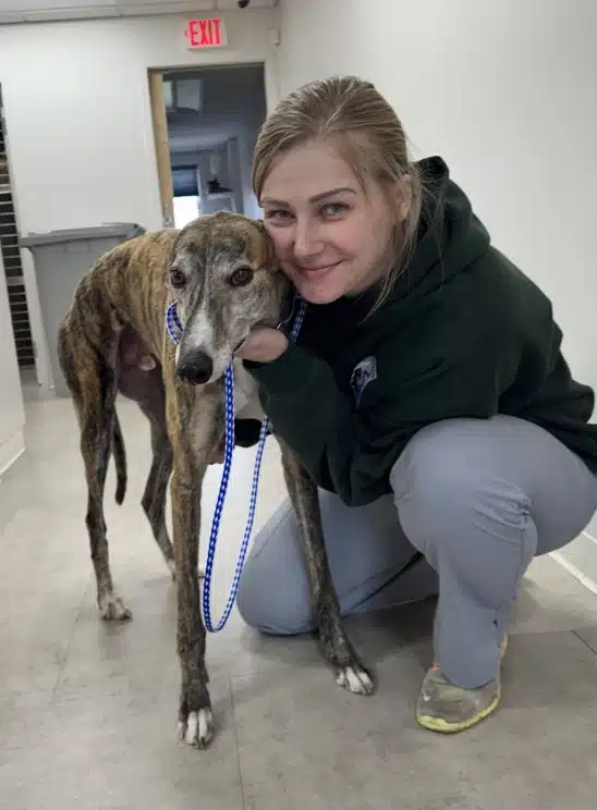 Veterinary doctor petting a dog